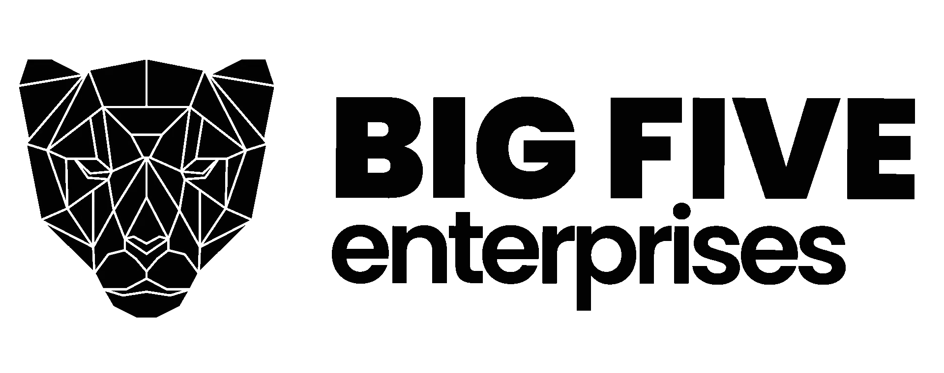 BIG FIVE Enterprises